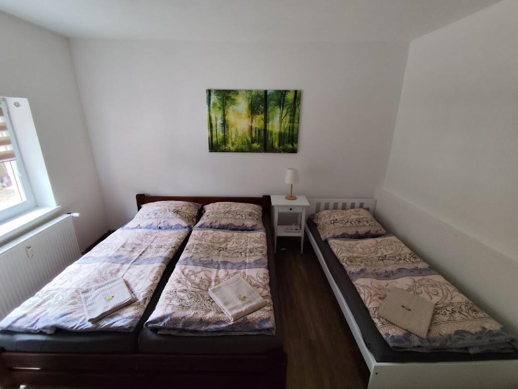 Apartman Terezka Jilove Exterior foto