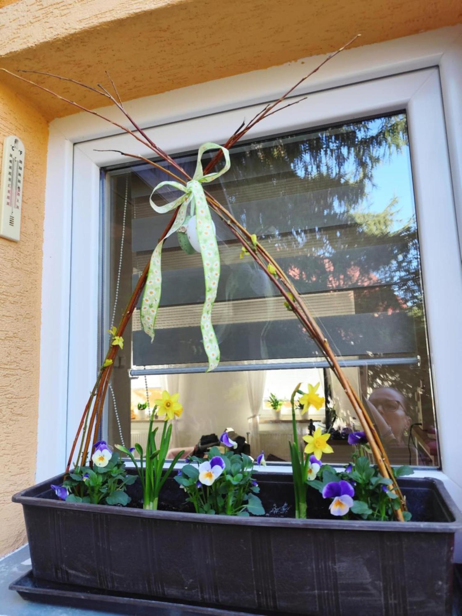 Apartman Terezka Jilove Exterior foto
